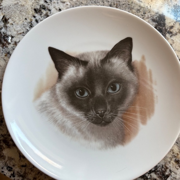 Siamese Cat Collectors Plate Bavaria Schumann Arzberg Germany Porcelain - Picture 2 of 9